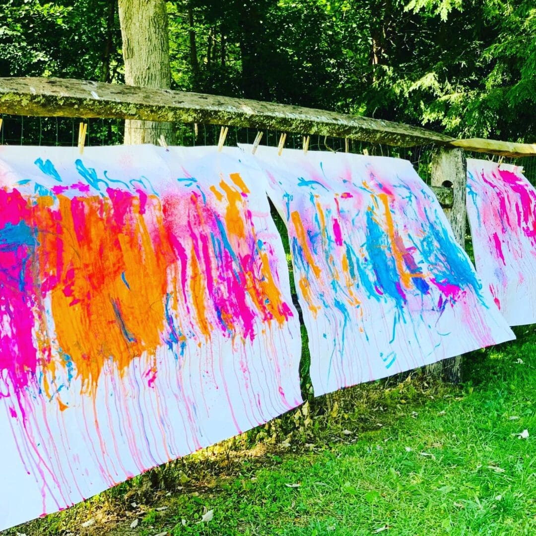 A line of paintings on the grass outside